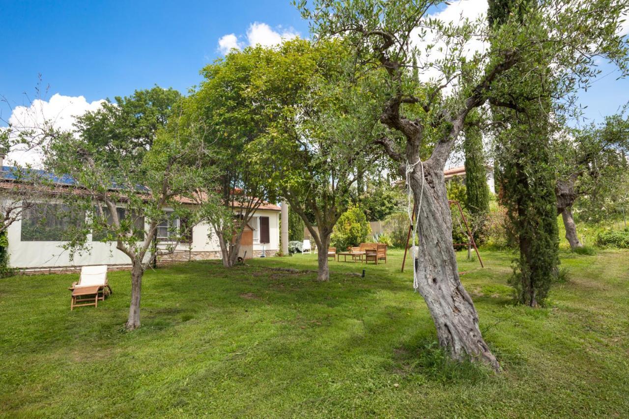 Artemisia Negli Ulivi B&B Magliano in Toscana Exterior foto