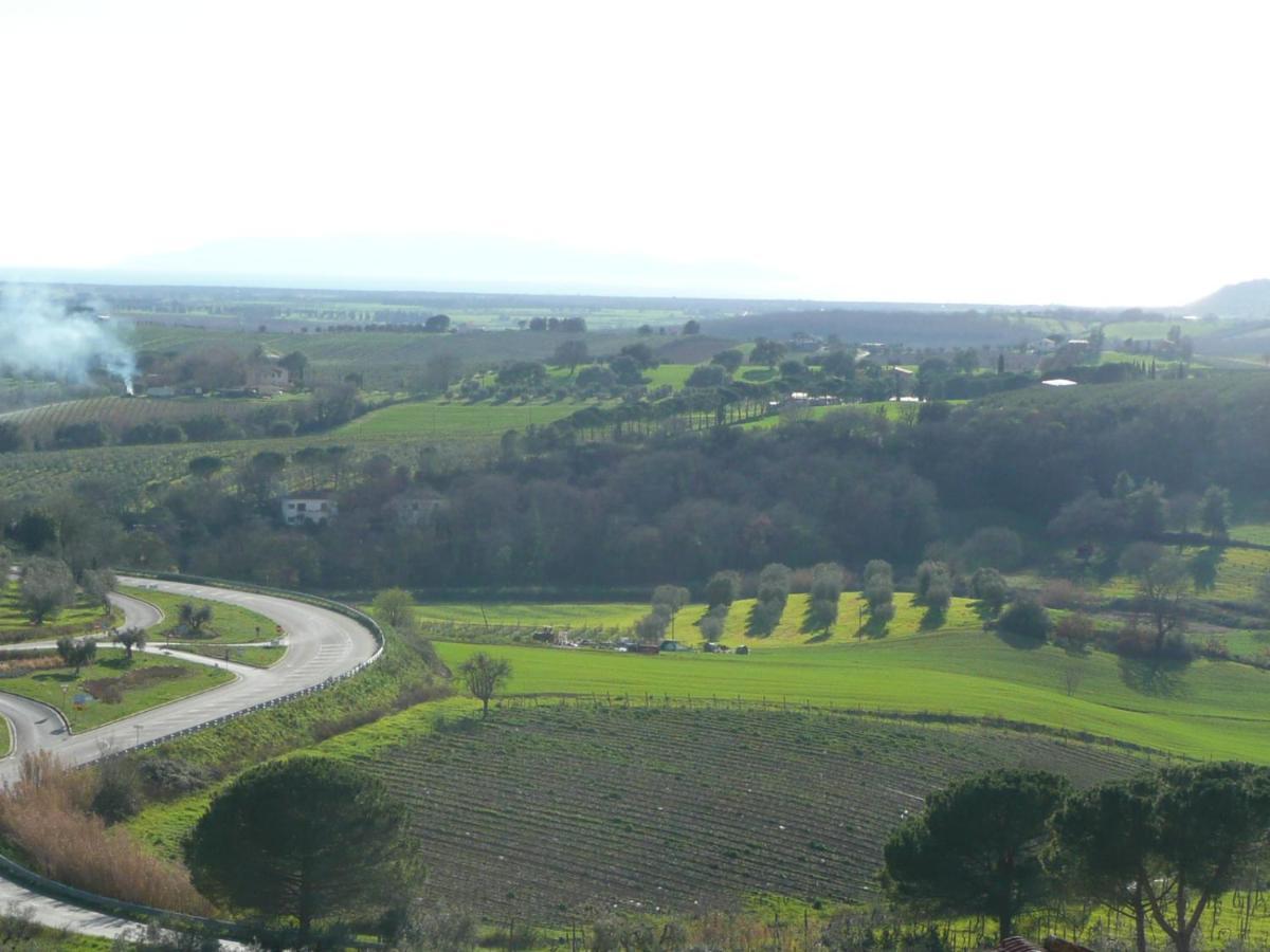 Artemisia Negli Ulivi B&B Magliano in Toscana Exterior foto