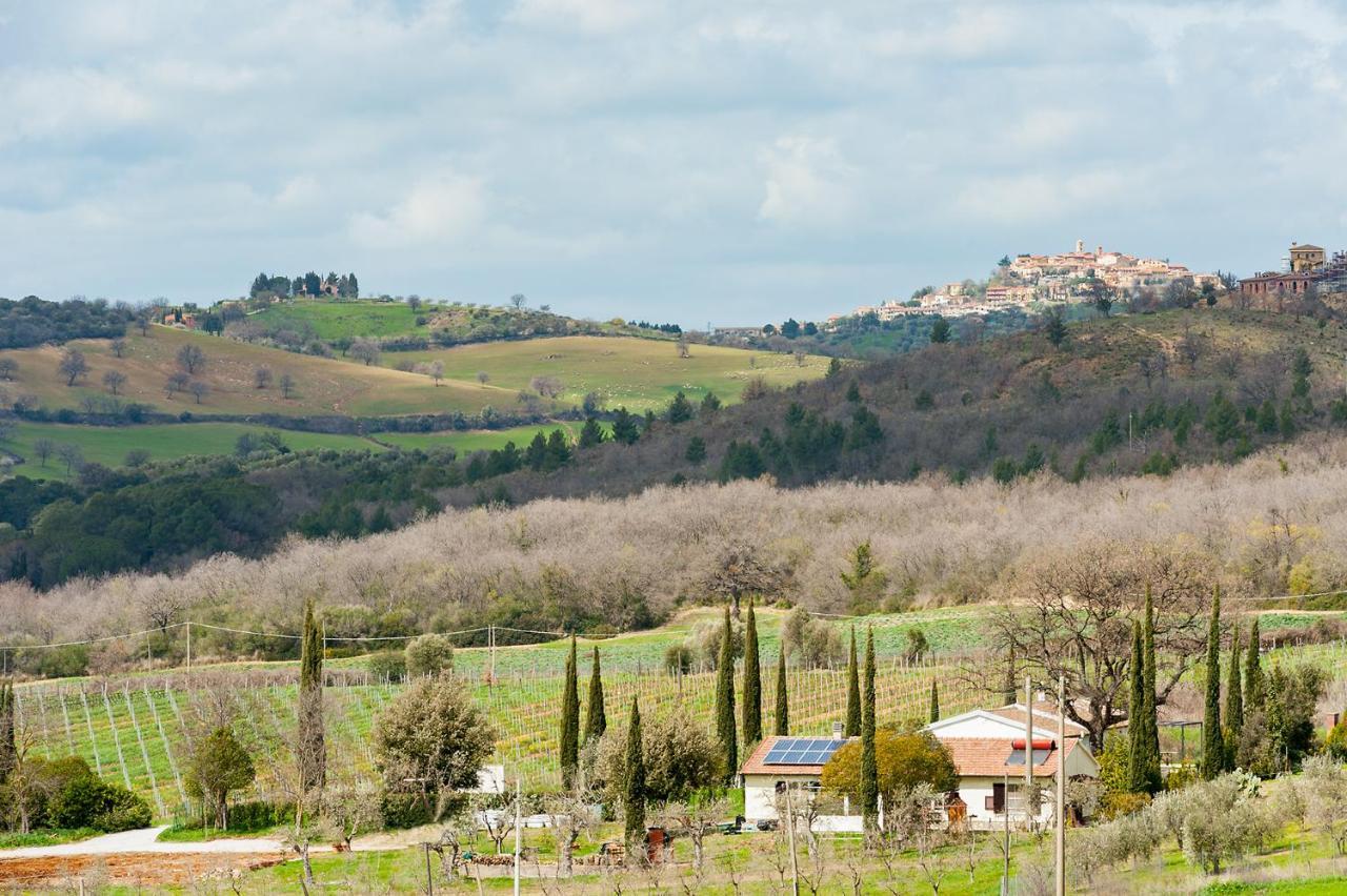 Artemisia Negli Ulivi B&B Magliano in Toscana Exterior foto
