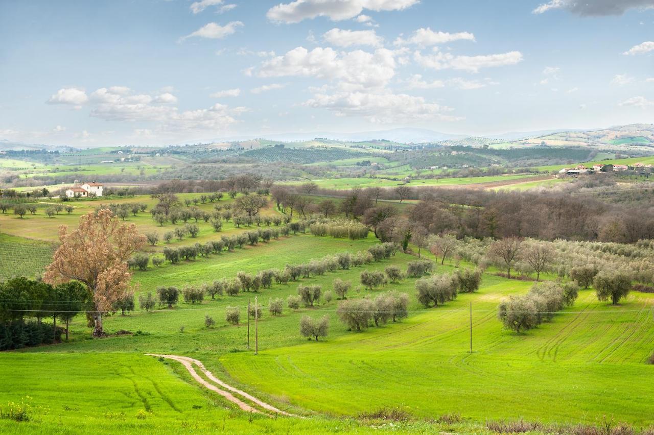 Artemisia Negli Ulivi B&B Magliano in Toscana Exterior foto