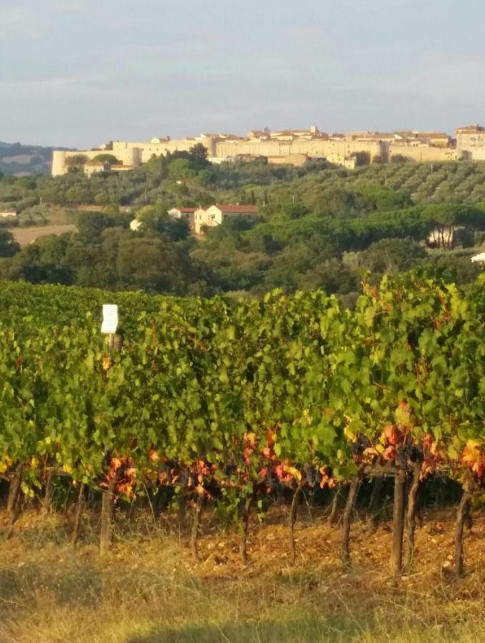 Artemisia Negli Ulivi B&B Magliano in Toscana Exterior foto