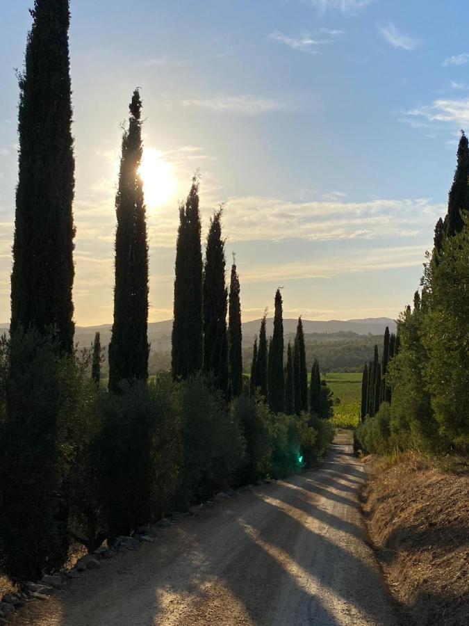 Artemisia Negli Ulivi B&B Magliano in Toscana Exterior foto