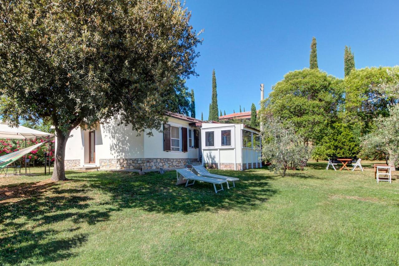 Artemisia Negli Ulivi B&B Magliano in Toscana Exterior foto