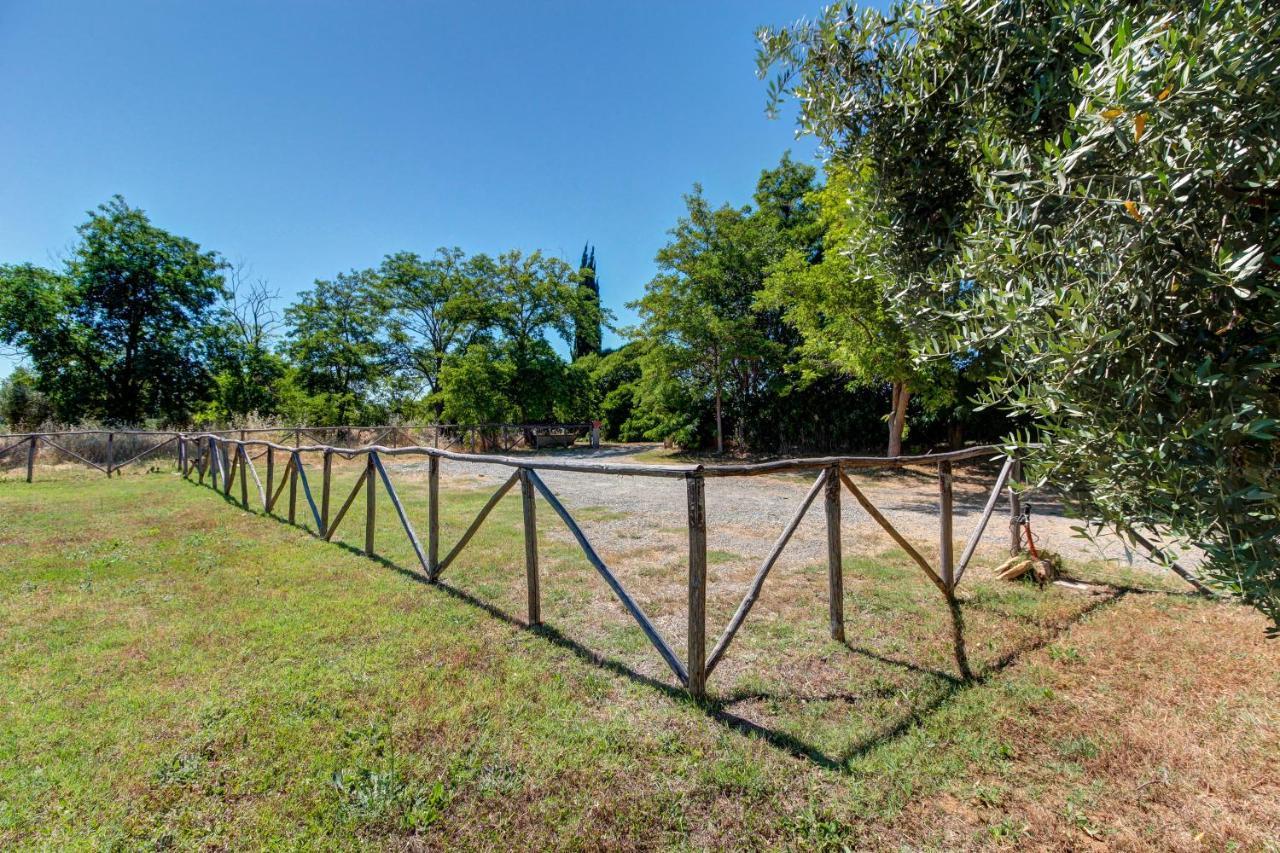 Artemisia Negli Ulivi B&B Magliano in Toscana Exterior foto