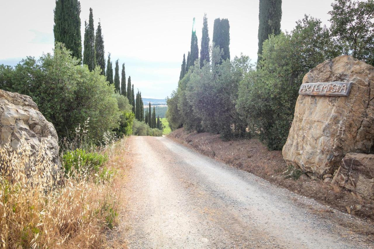 Artemisia Negli Ulivi B&B Magliano in Toscana Exterior foto