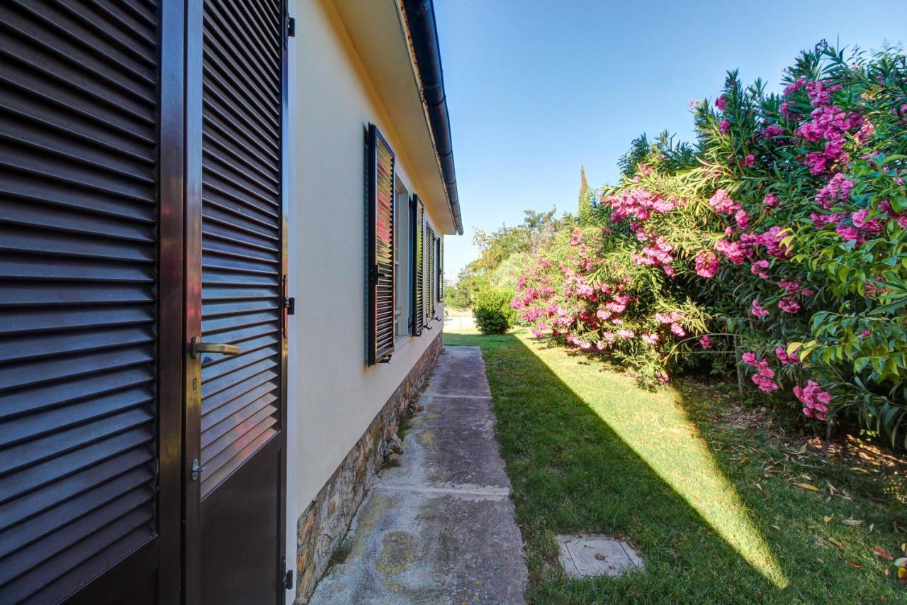 Artemisia Negli Ulivi B&B Magliano in Toscana Exterior foto