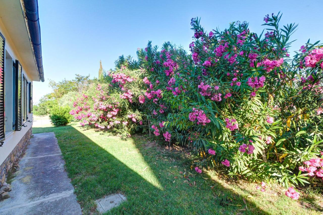 Artemisia Negli Ulivi B&B Magliano in Toscana Exterior foto